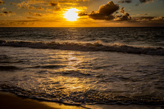 Golden Silence